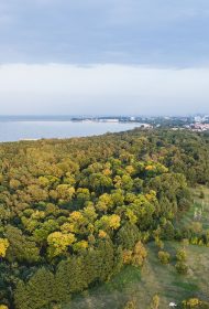 Forest seashore by the Baltic Sea in Gdansk, Poland. Fall season. Travel destination.